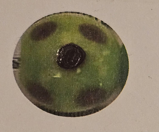 Skunk Beads Lime Green And Purple