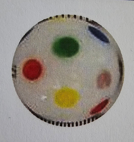 Skunk Beads Rainbow White