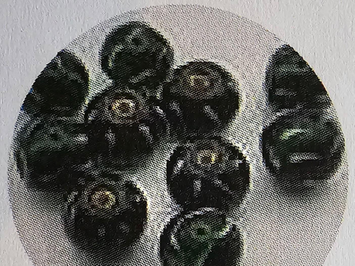 Swirl Beads Green & White