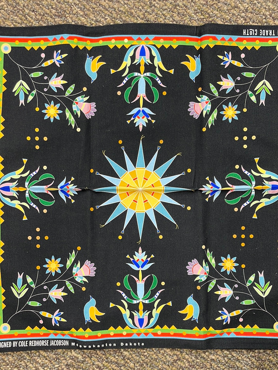 Pillow Cases Cole Redhorse Jacobson Designed