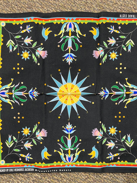 Pillow Cases Cole Redhorse Jacobson Designed