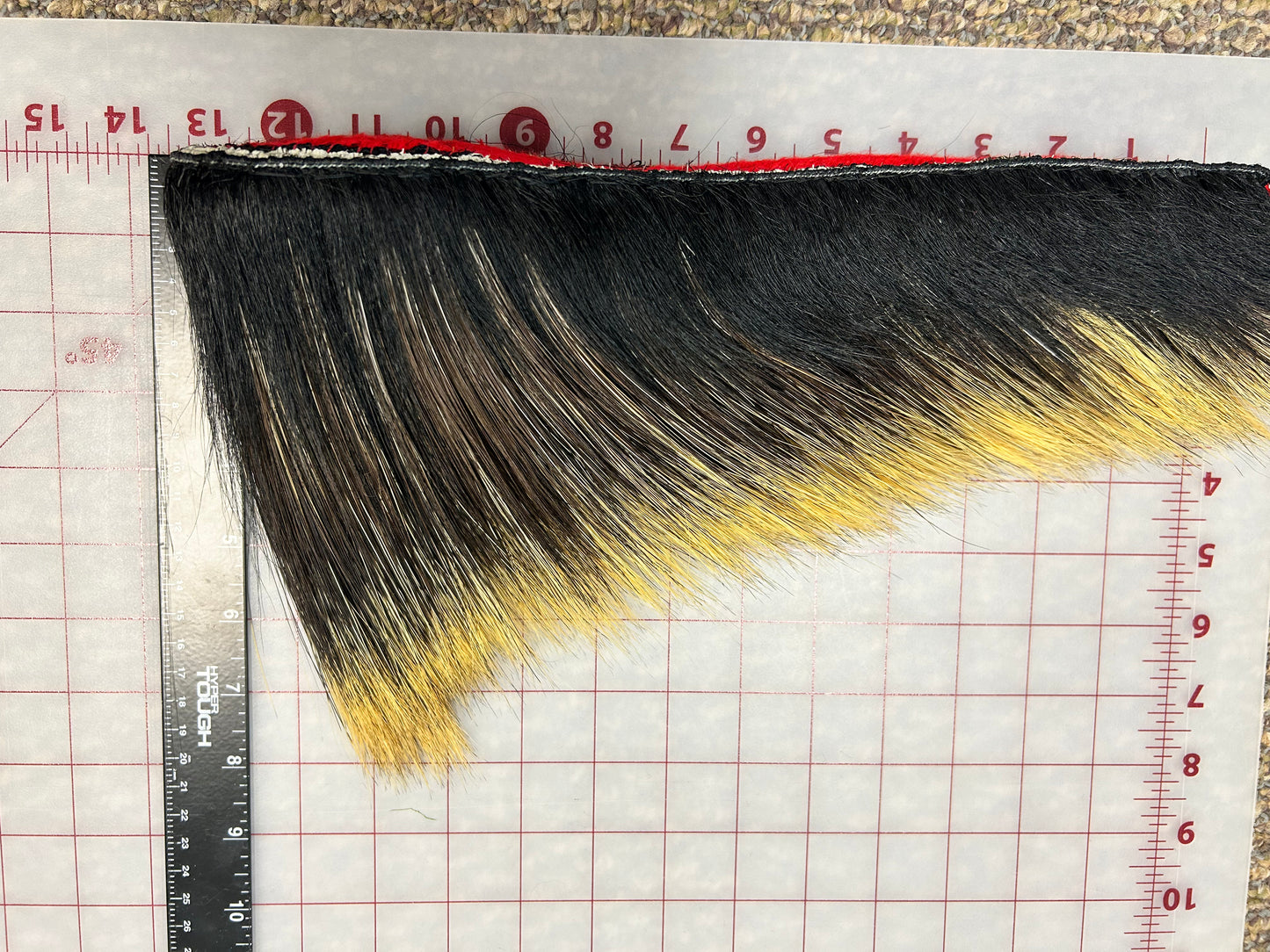 Roach Black In & Out 13" L. 8" H.