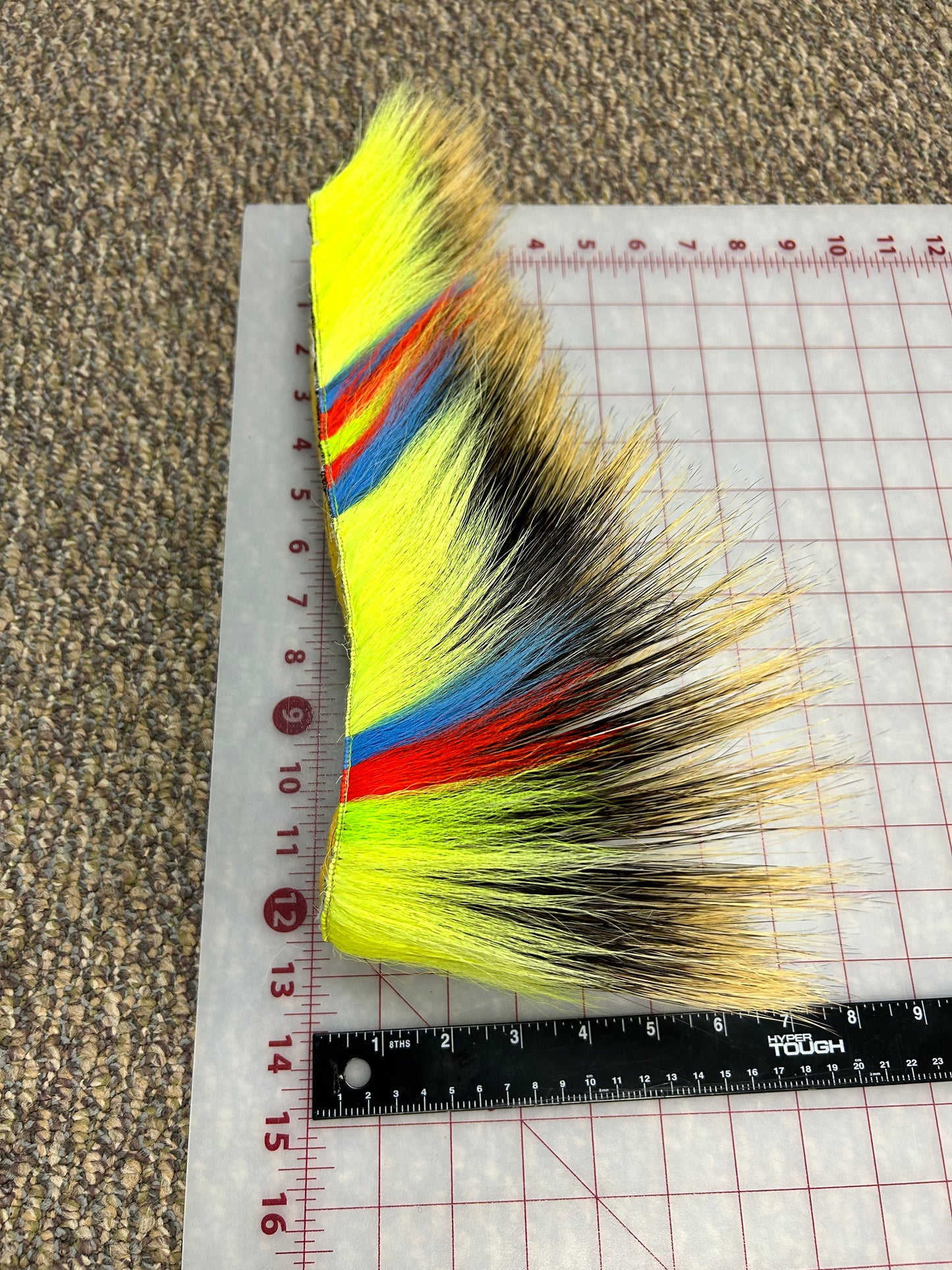 Roach Neon Yellow w/ Blue & Red Stripes 15" L 7" H