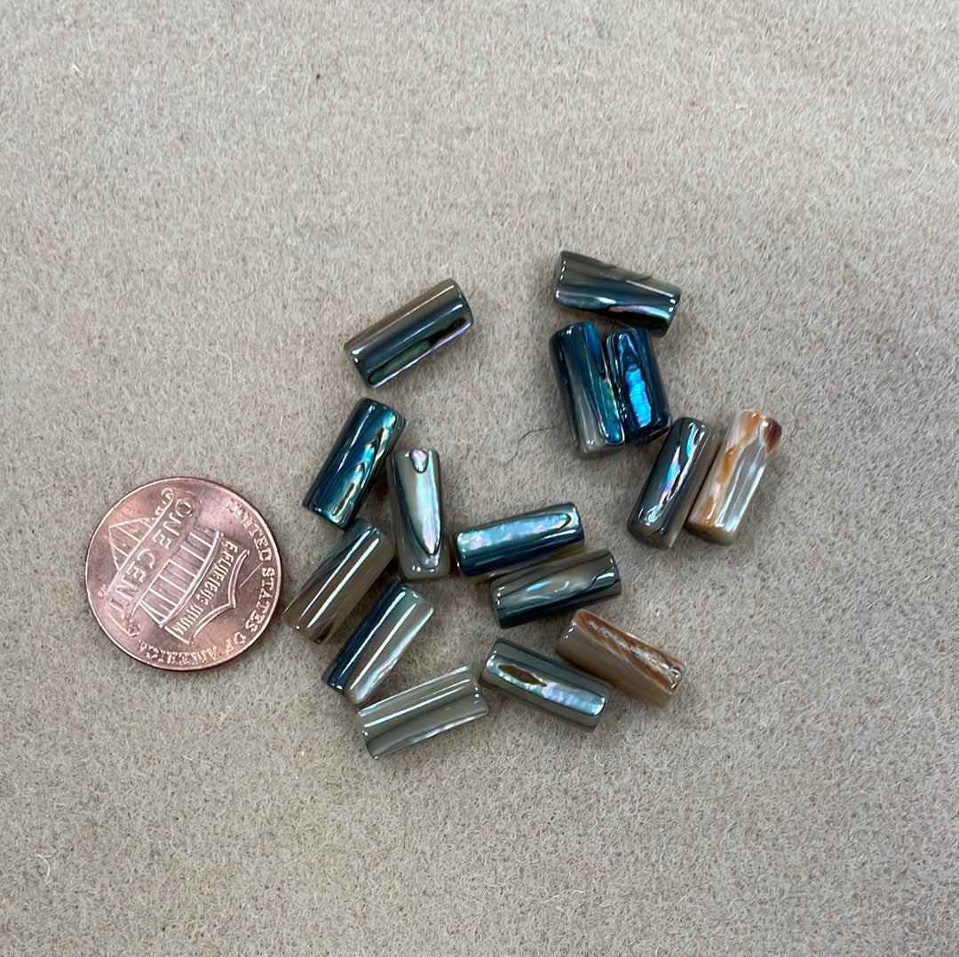 Abalone Beads