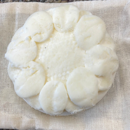 Lakota Vanilla Luxury Lotion Bar