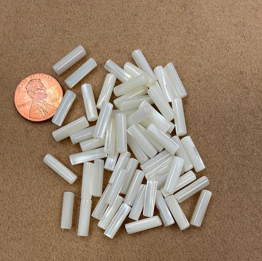 Trocus White Shell Beads