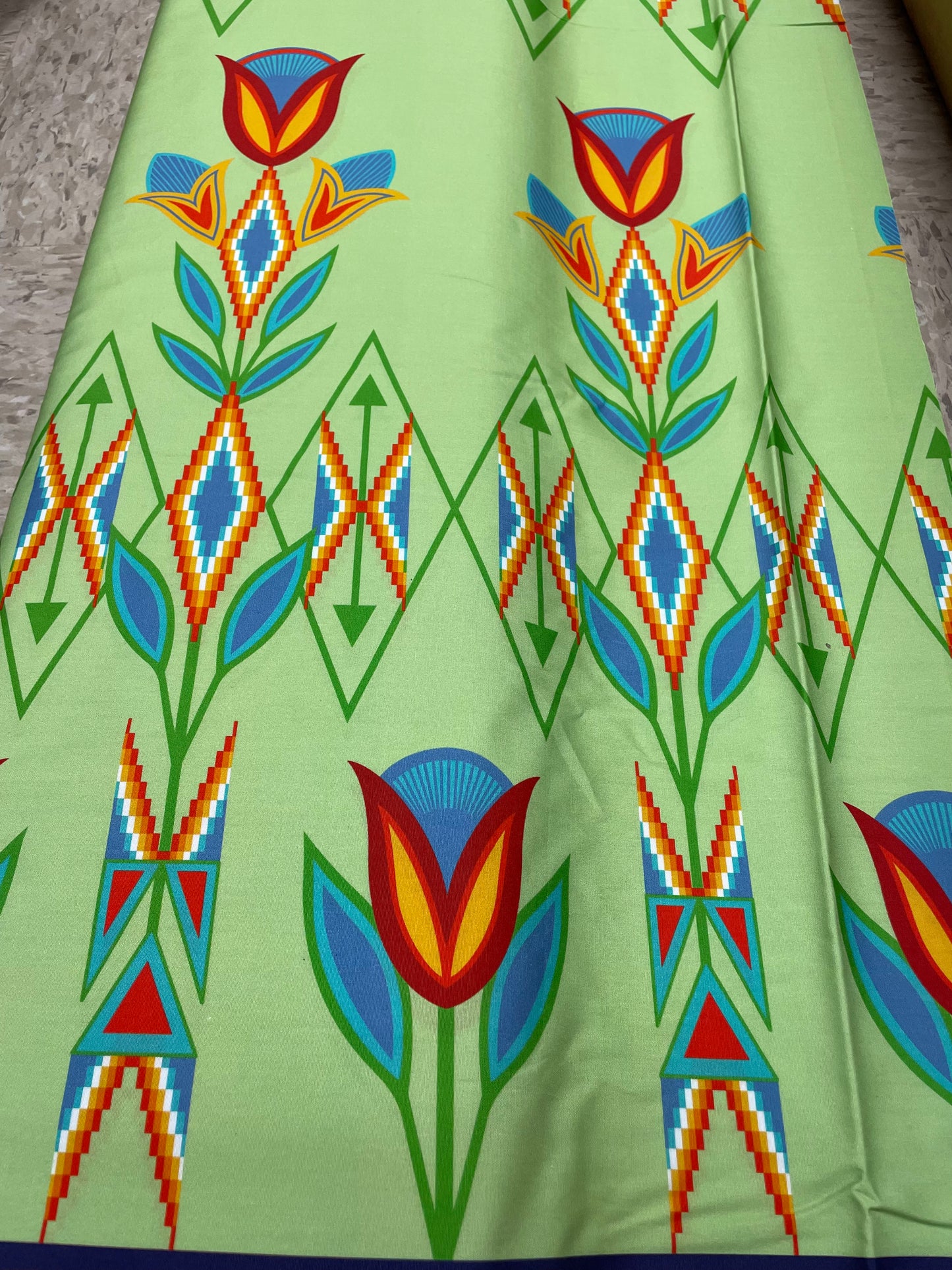 Kira Murillo Designed Teton Fabric