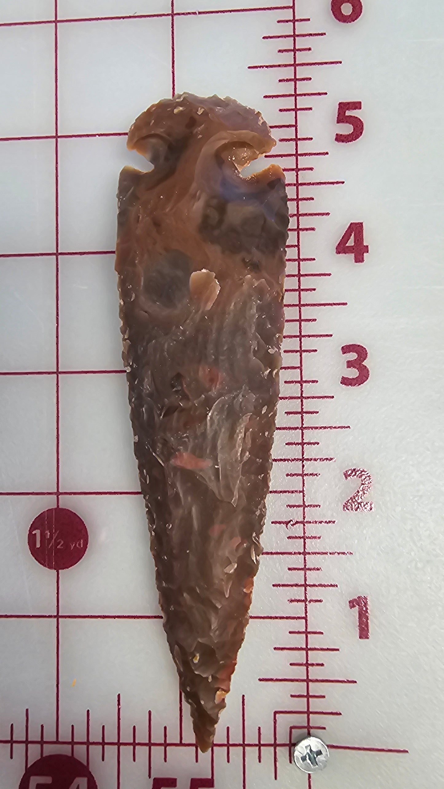 Arrowhead 5" Dark Brown