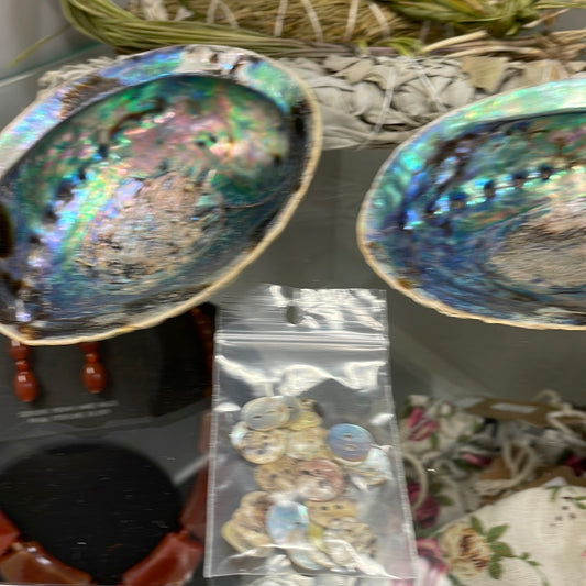 Abalone Shell Buttons
