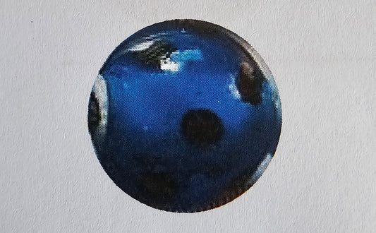 Transparent Blue Skunk Bead