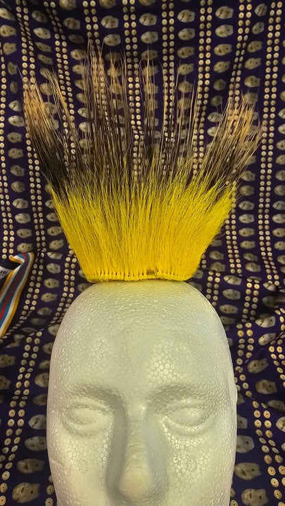 Roach Yellow Youth 3" R 6" H
