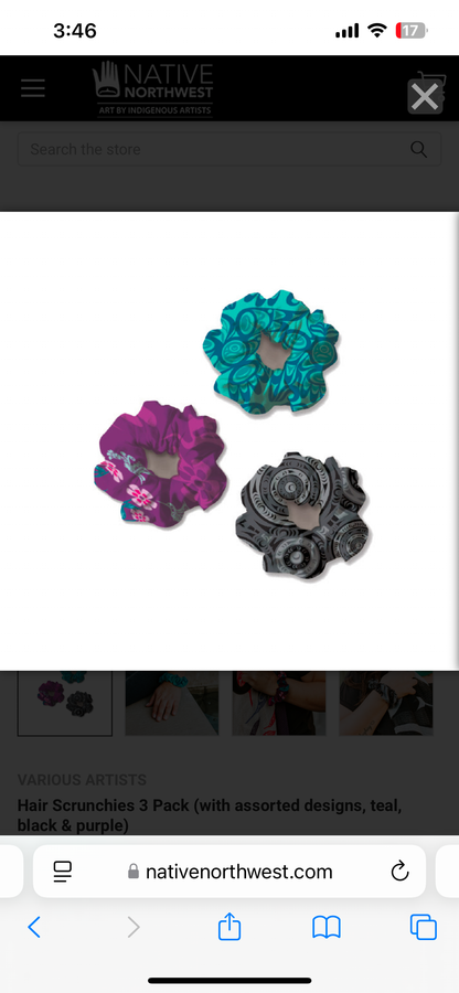 Native Inspired Hair Scrunchies 3 Pack