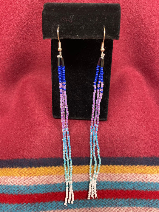 Duster Earrings