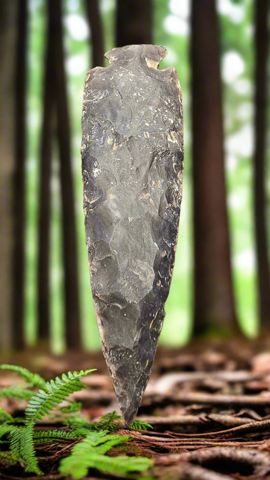 Arrowhead 5 1/2" Long Chocolate
